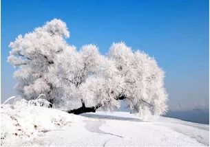 冬天拍雪景去这里,随手拍一张惊艳到你 