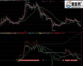 通达信软件副图指标 模板使用技巧！谢谢