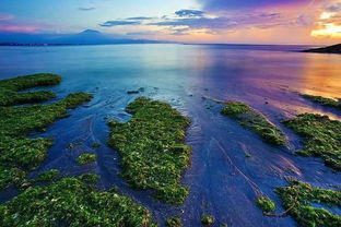巴厘岛旅游那个季节好巴厘岛旅游季节去最好（巴厘岛旅游旺季是什么时候）