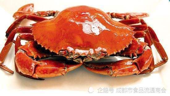 不会吃螃蟹 吃螃蟹不仅要做到四清除还有四注意