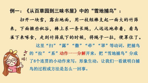 妙不可言的解释词语 妙不可言的解释与造句