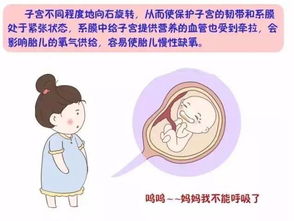 原创孕妇睡觉只能左侧卧？解锁孕期不同阶段睡觉姿势，早知道早受益！