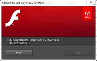 adobe flash player for