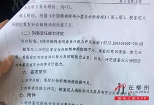 银桐路交通事故 肇事司机鉴定结果 精神病依据不足 