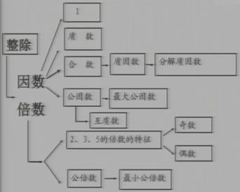 1100的奇数 偶数 质数 合数有哪些 图片信息欣赏 图客 Tukexw Com