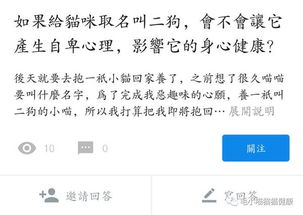 有这样给喵主子起名的吗 我还是不是你心爱的宝宝啦