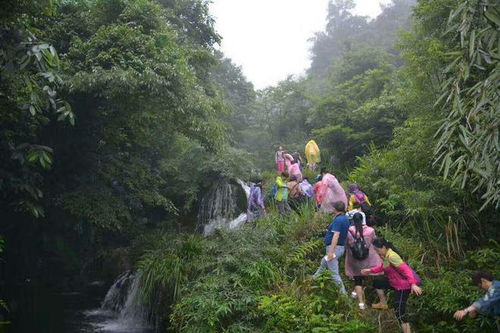 湖南张家界慈利南山坪乡