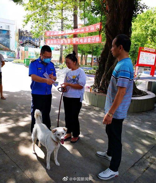 老人被狗绳绊倒身亡后 广东佛山开展养犬管理专项整治 