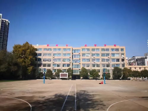 成都民办职业学校有哪些学校