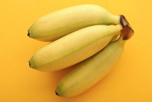 新摘的香蕉怎样放才能熟的快 