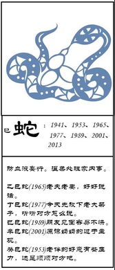 水木罗汉 12月17日十二生肖运势分析