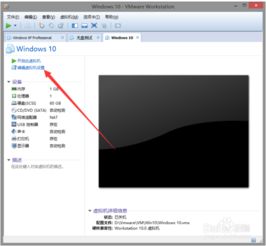 vmware装win10光驱设置