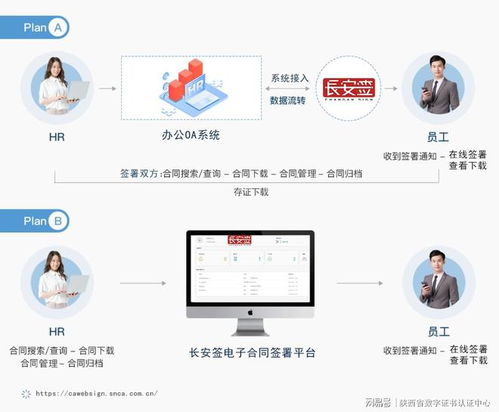 数字顺序照片怎么弄好看 上传电脑的相片怎么按顺序排列