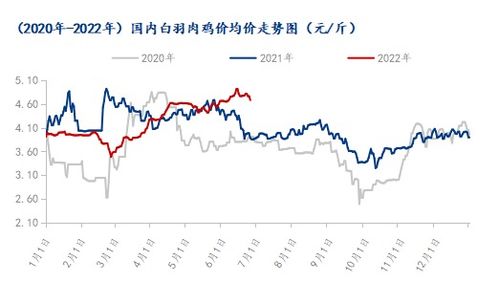 肉鸡价格行情预测（肉鸡价格行情分析）