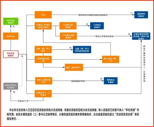 学社衔接 转关系,毕业团员不 失联