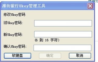 ukey什么意思 ukey的解释-图1