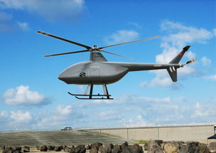 无人直升机的历史、现状、发展前景等网
