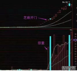 股票如何开户去哪里