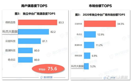 政务信息查重软件：保障数据准确性