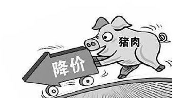 猪肉什么时候下跌