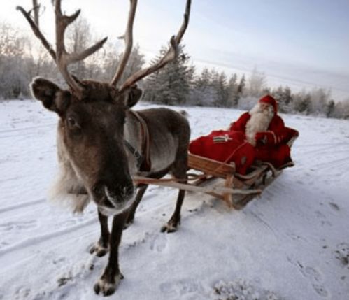 赛博圣诞老人飞过天空时会震爆电子驯鹿的传感器吗