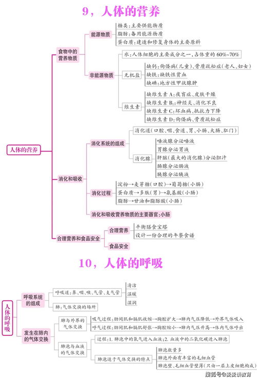 生物 七年级生物13个知识点思维导图 上下册 13张图全掌握