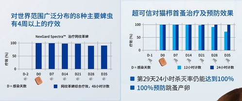 论文查重网站大揭秘，哪个更值得信赖？