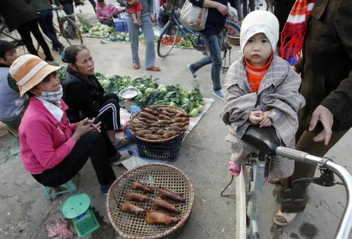 中国人在越南人眼中是什么样的 几个特点确实在理,你赞同吗