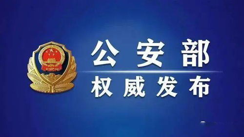 枣庄警方侦破 为境外赌场提供资金服务案 入选公安部典型案例
