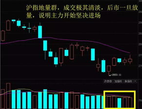 股票中的百日天量。地量是什么意思