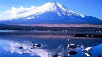 歌曲《富士山下》歌词要表达的意思是什么？求解答？(富士山下要怎么唱才能唱好？)