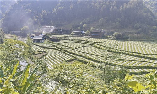 湖南邵阳城步汀坪乡天气预报