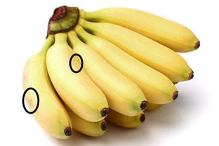 用氨水催熟的香蕉千万别吃,影响肝肾