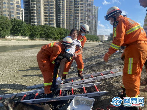 晋江 村民陷入河边淤泥 消防紧急救援