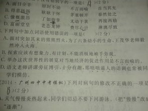 表示不确定或者选择的词语(表示不确定的词语有什么)