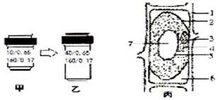 1.植物细胞的吸水和失水现象