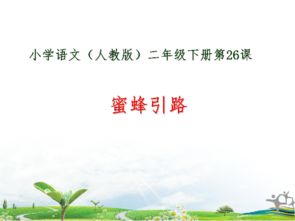 蜜蜂引路教学反思简短