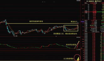 股票是从上市公司买入的还是从其他持股散户手中买入的