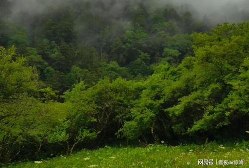 四川的 绿野仙踪 ,本地人强推,一路是免费美景,来了不会后悔