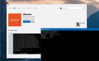 在win10应用商店安装ubuntu教程