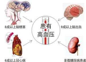 年轻人为什么也会得高血压