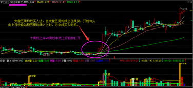 因为炒股亏损严重，请问能向所买卖的上市公司要回亏损的损失吗？有交割单、交易记录，有何法律支持？