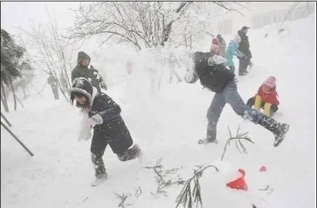 曹柒零 雪