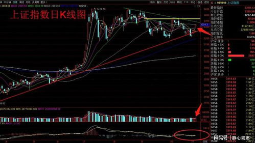 大盘跳空高开高走，放量上涨收大阳，是上涨趋势已定了么，还需要再确认吗