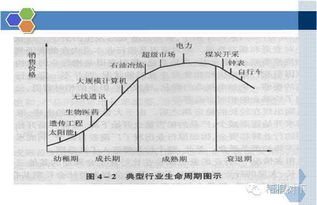 财务分析深度解析 强烈推荐 