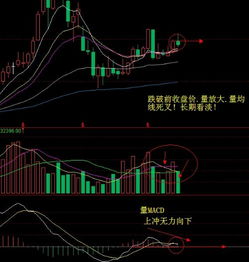 请问中国联通的后市如何？