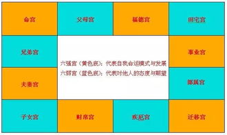 紫微小课堂 紫微命盘12个格子代表的意义,会如何影响你的命运