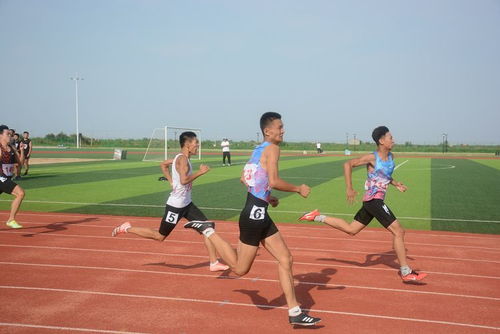 小学生田径队训练过程,小学生田径队训练过程怎么写