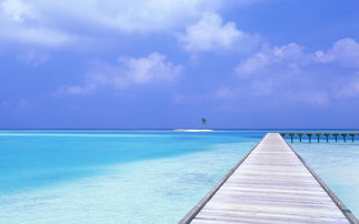 马尔代夫哪些岛最适合玩耍