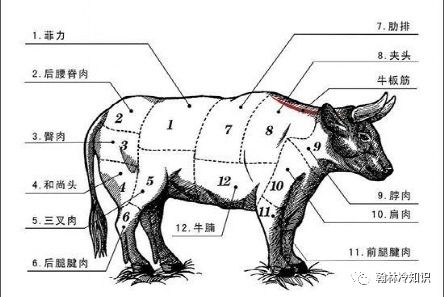 澳洲和牛PK日本和牛,谁才是和牛界的老大